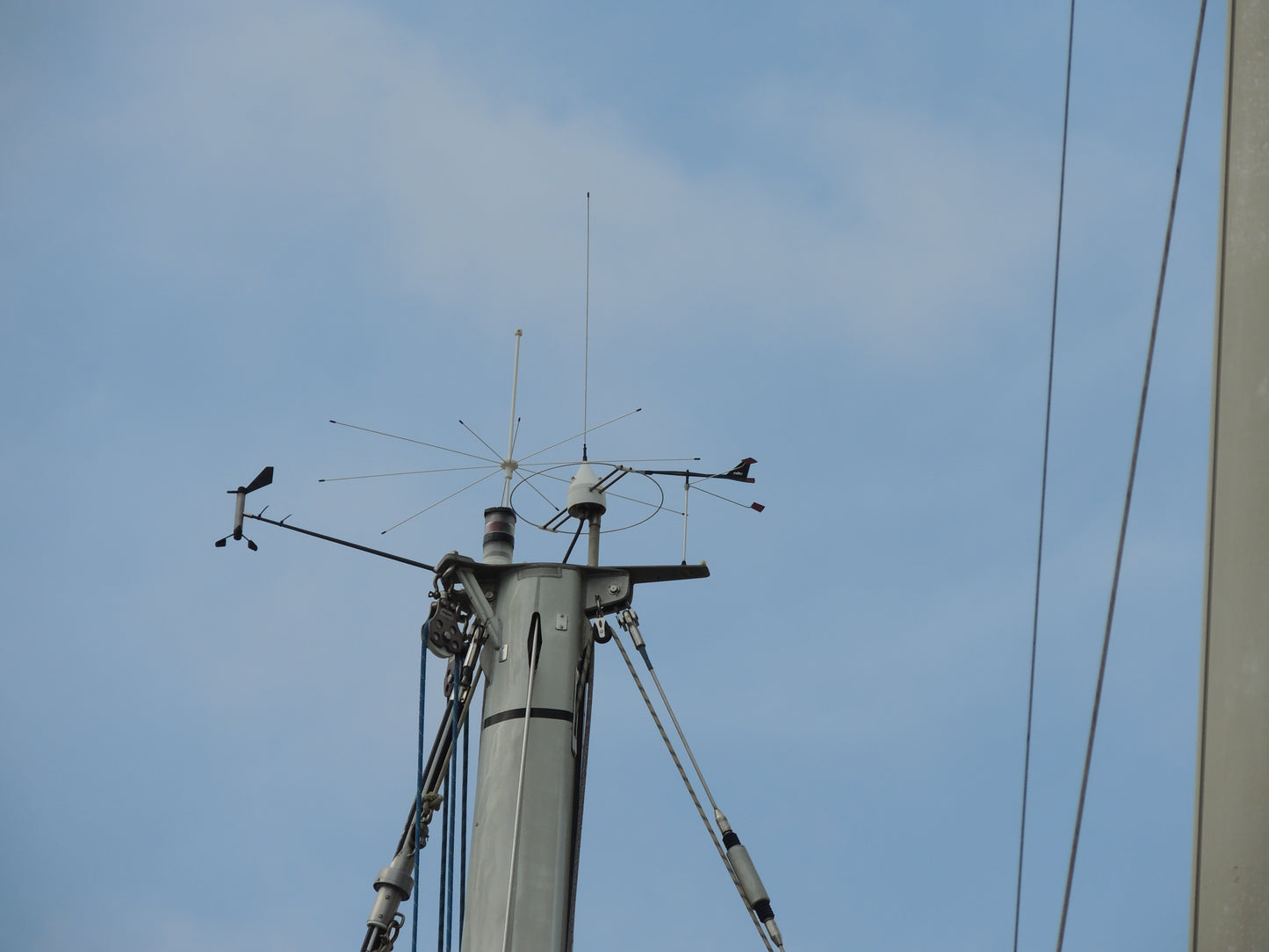 StopGull Topmast
