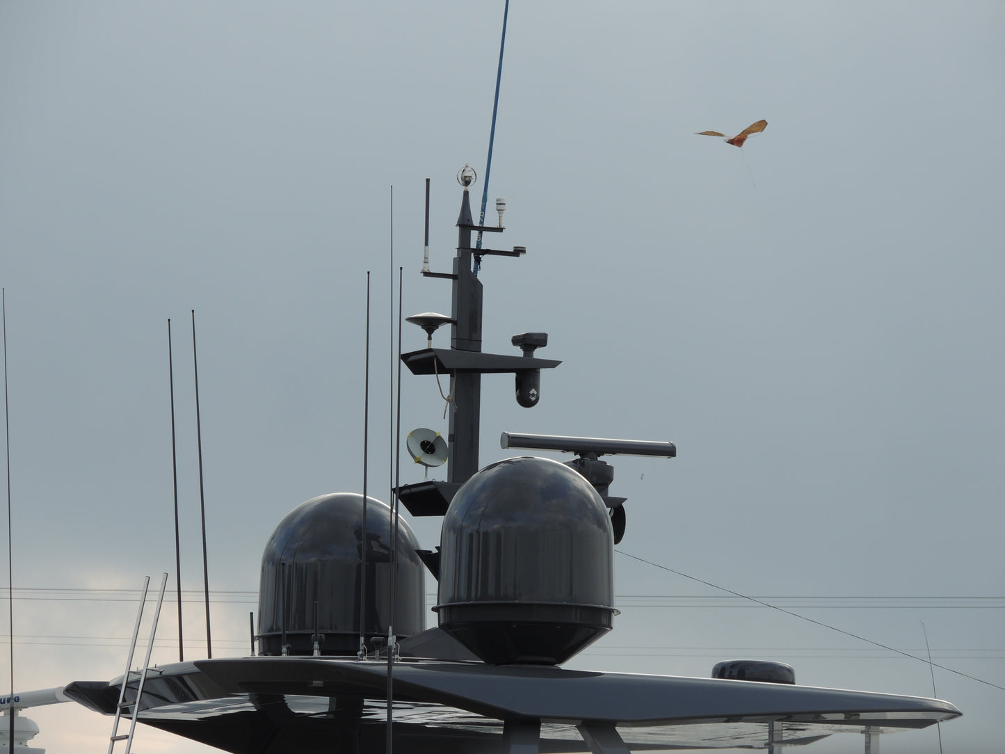 StopGull Falcon