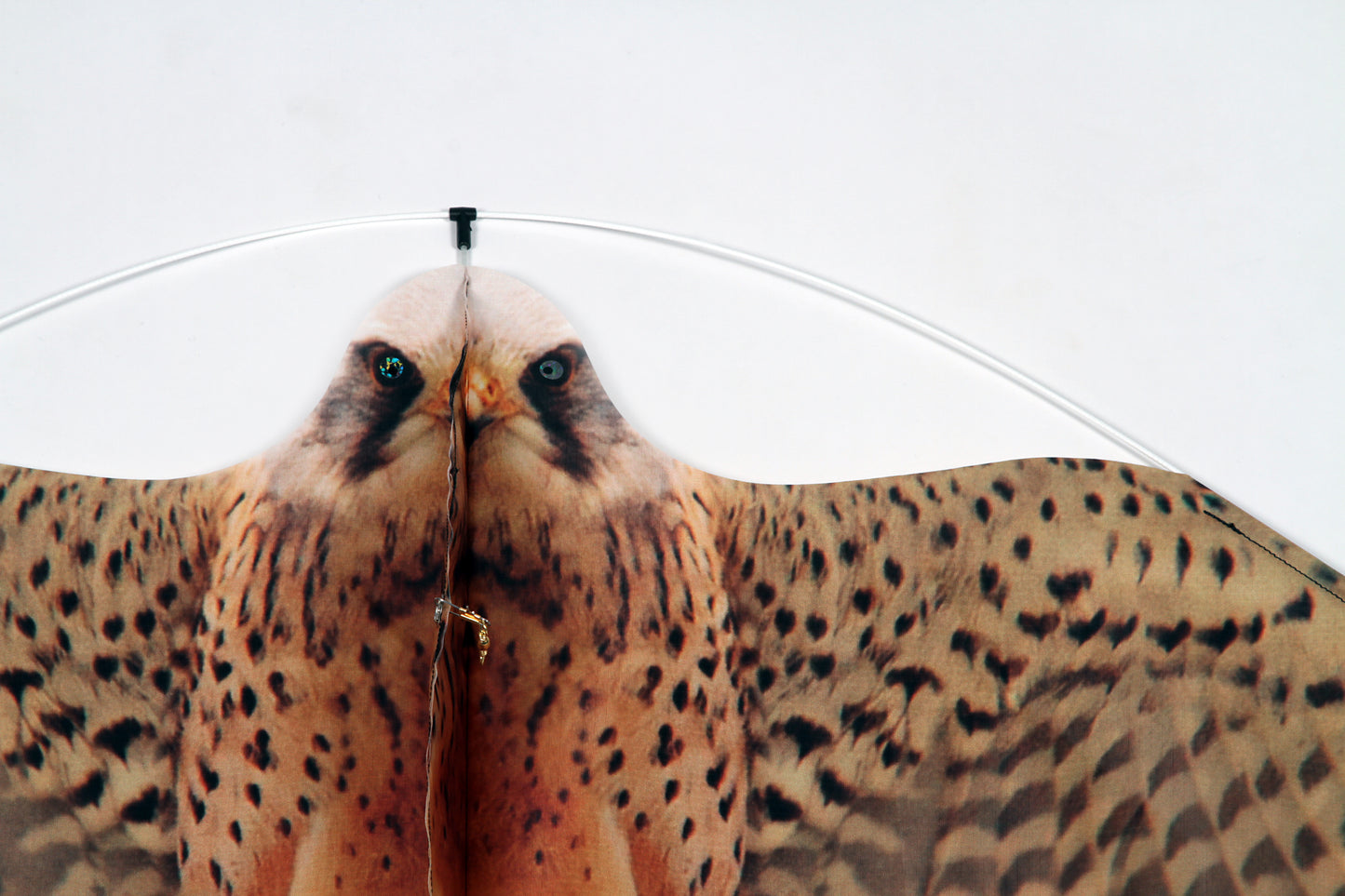 StopGull Falcon